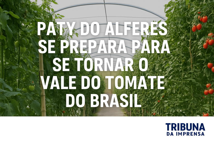 Paty do Alferes pronta para se tornar o Vale do Tomate do Brasil