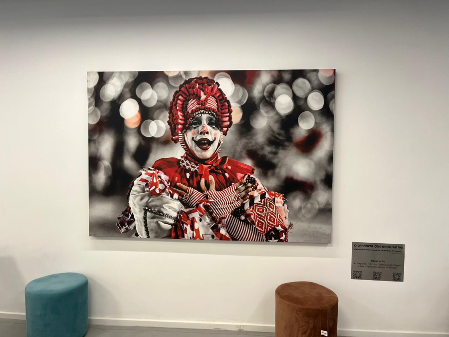 Ambientes bem decorados com telas do Carnaval carioca produzidas por fotógrafo italiano
