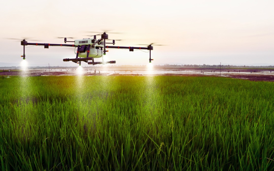 De que forma podemos destravar o financiamento para o setor de agropecuária?