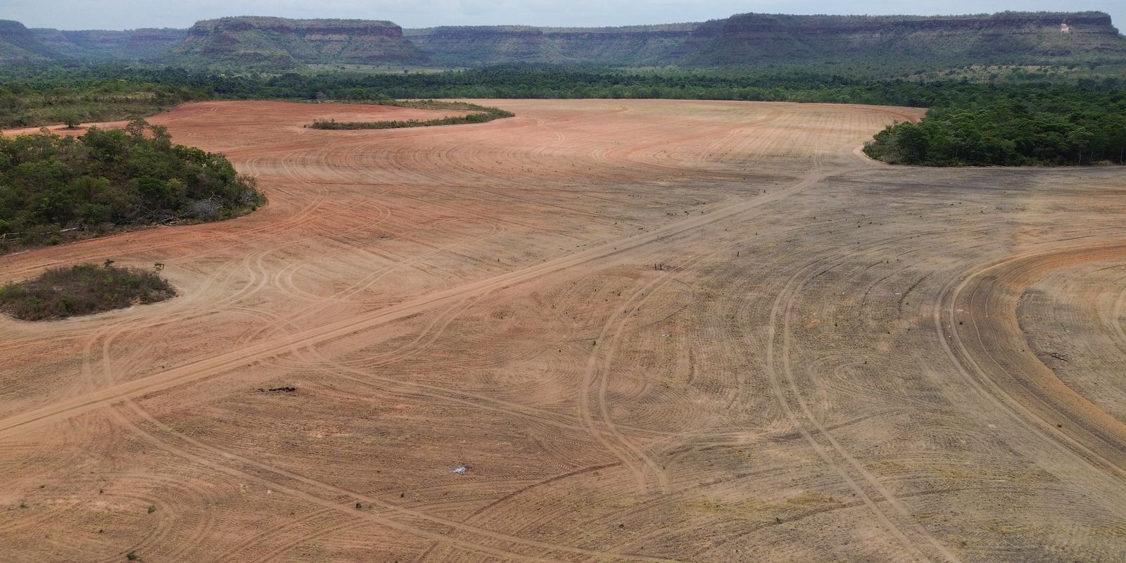 Processadoras de soja deixam acordo sobre desmatamento na Amazônia