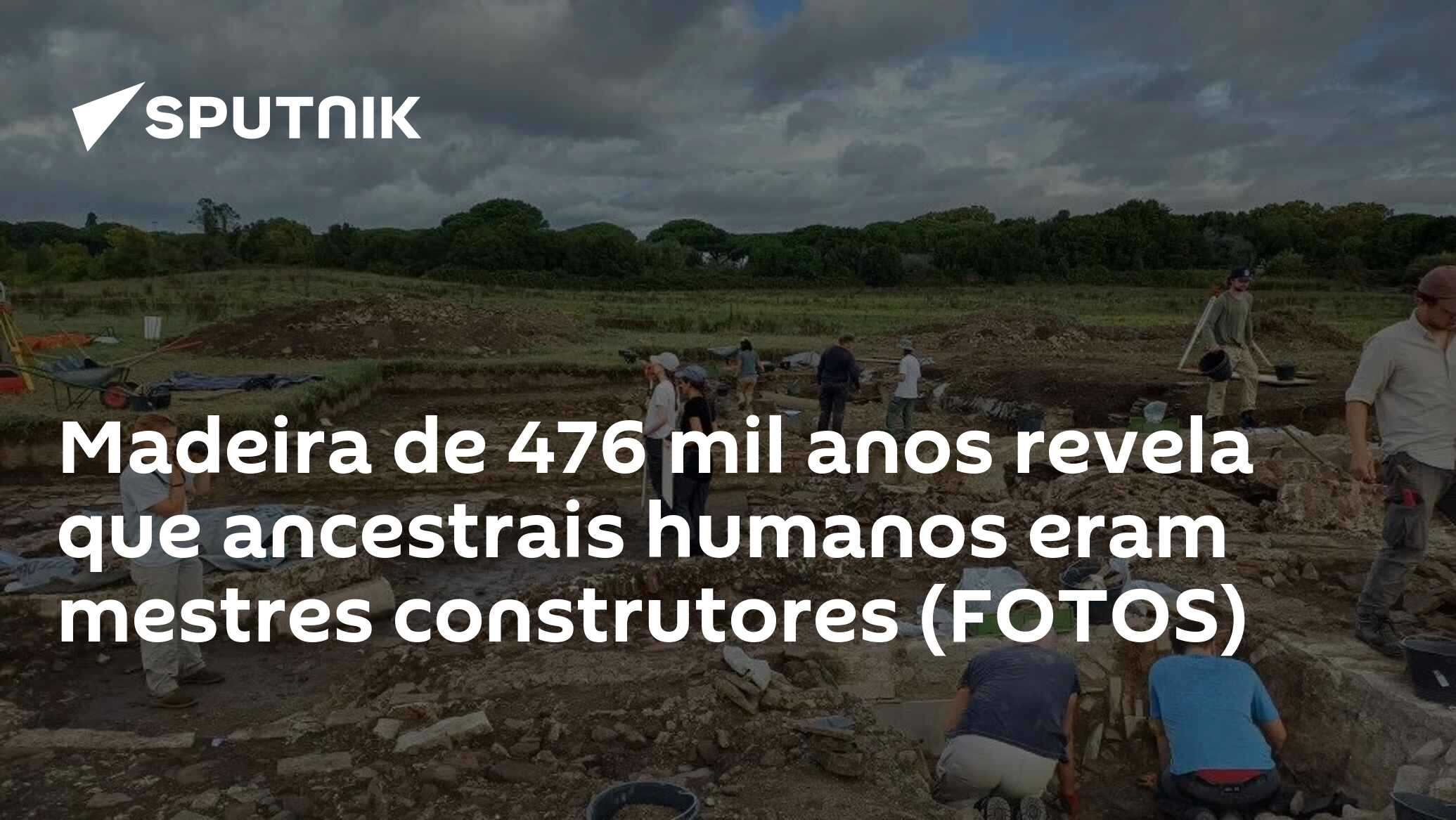 Madeira de 476 mil anos revela que ancestrais humanos eram mestres construtores (FOTOS)