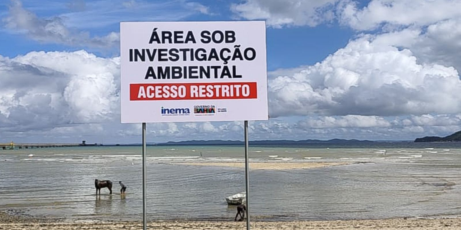 Comunidade na orla baiana sofre há 100 dias com contaminação da praia