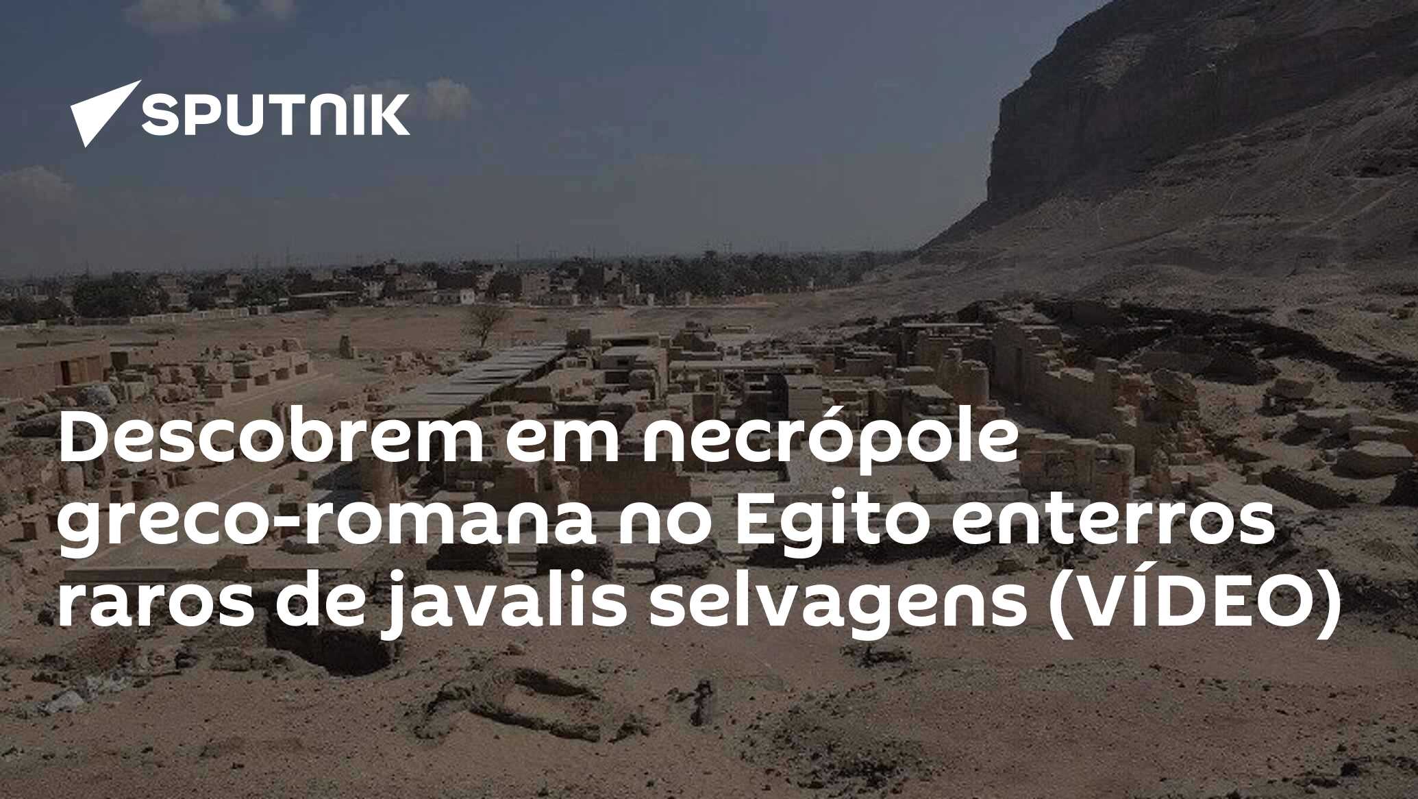 Descobrem em necrópole greco-romana no Egito enterros raros de javalis selvagens (VÍDEO)