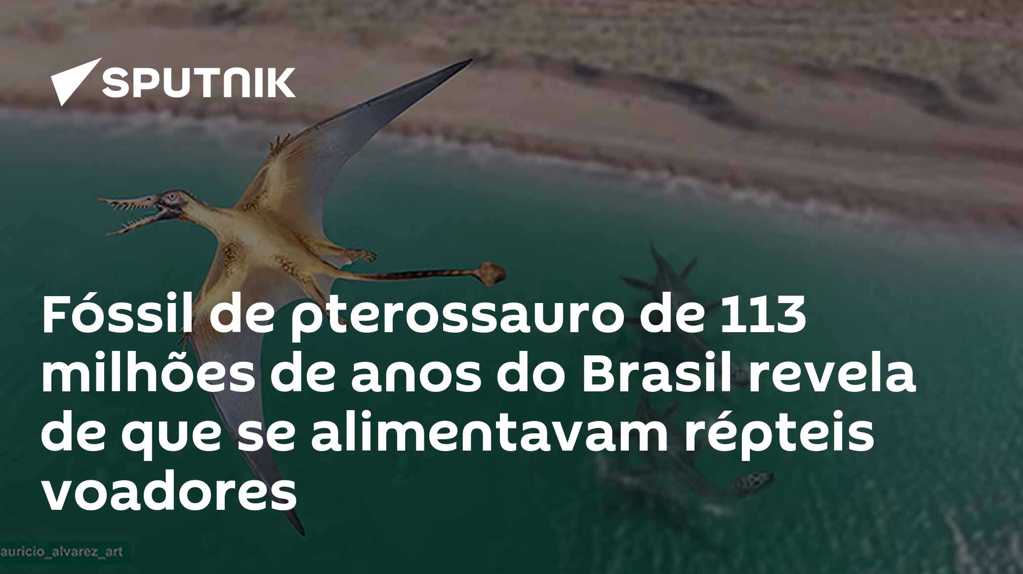 Fóssil de pterossauro de 113 milhões de anos do Brasil revela de que se alimentavam répteis voadores