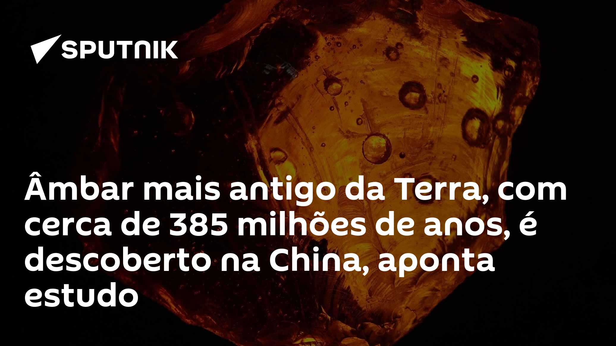 Âmbar mais antigo da Terra, com cerca de 385 milhões de anos, é descoberto na China, aponta estudo