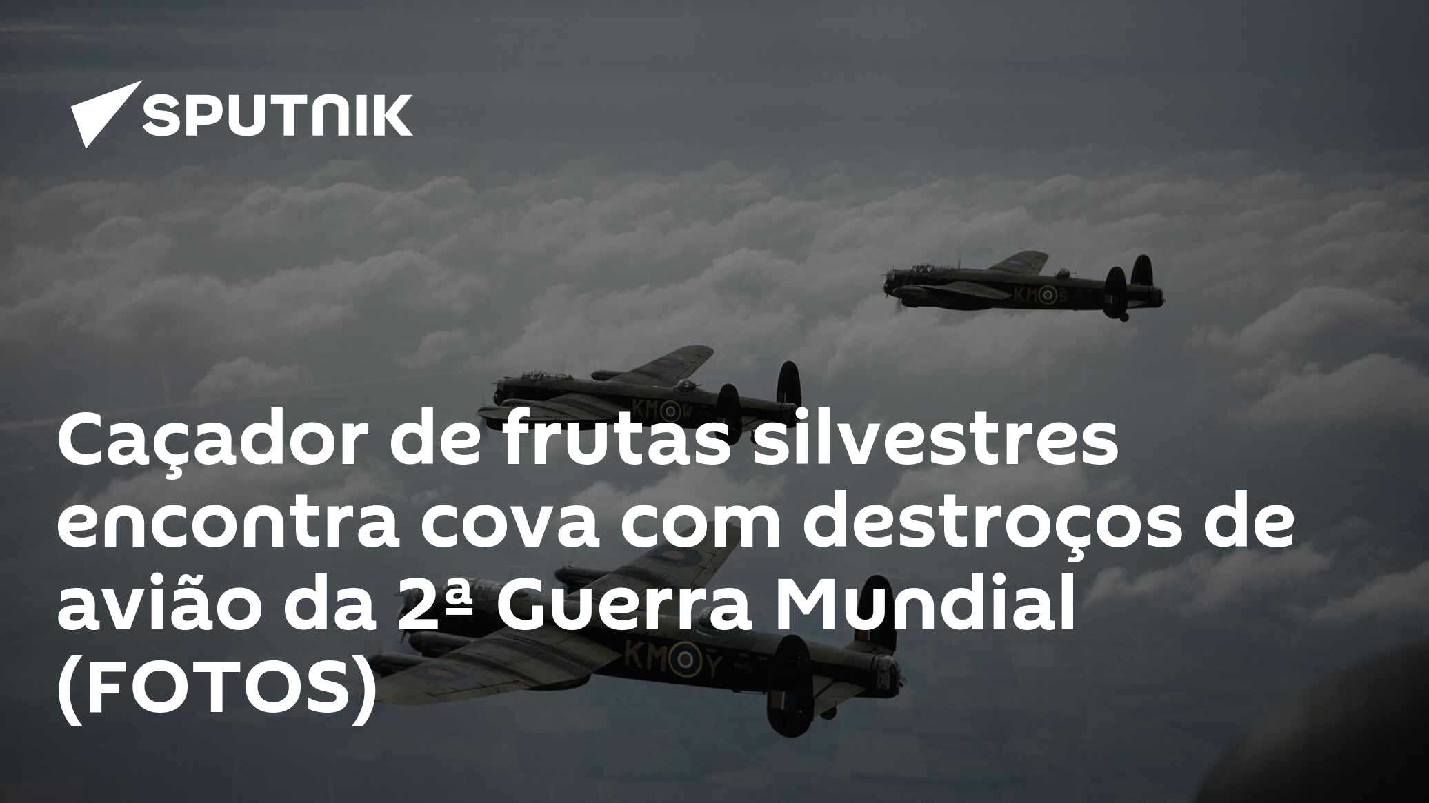 Caçador de frutas silvestres encontra cova com destroços de avião da 2ª Guerra Mundial (FOTOS)