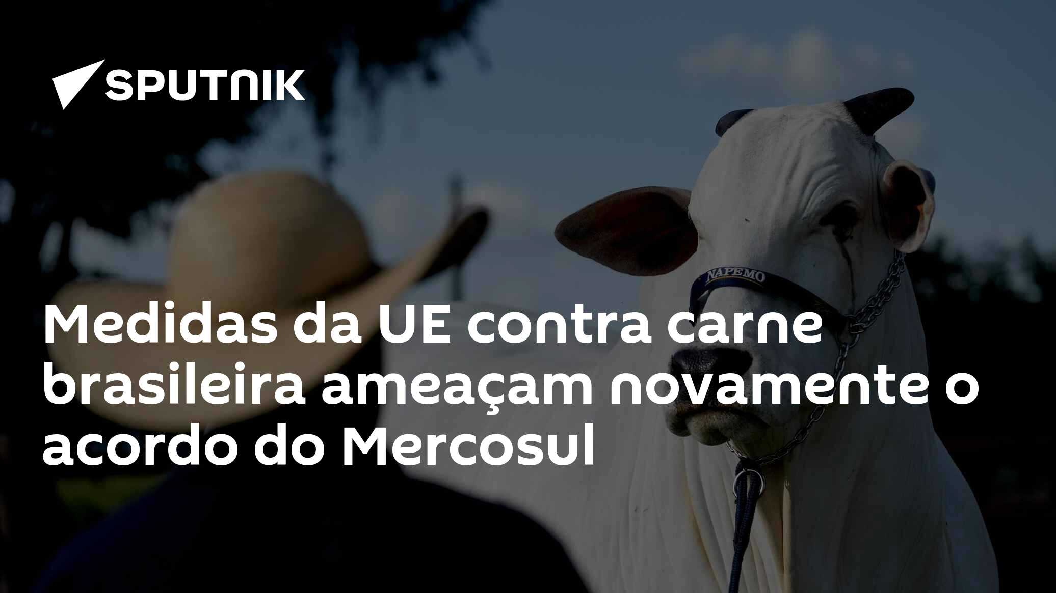 Medidas da UE contra carne brasileira ameaçam novamente o acordo do Mercosul