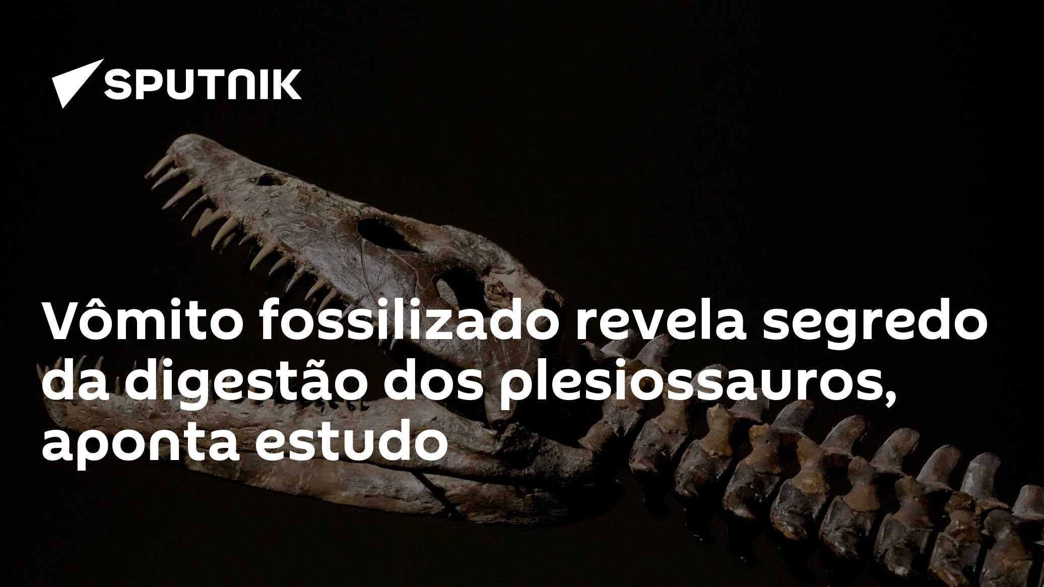Vômito fossilizado revela segredo da digestão dos plesiossauros, aponta estudo
