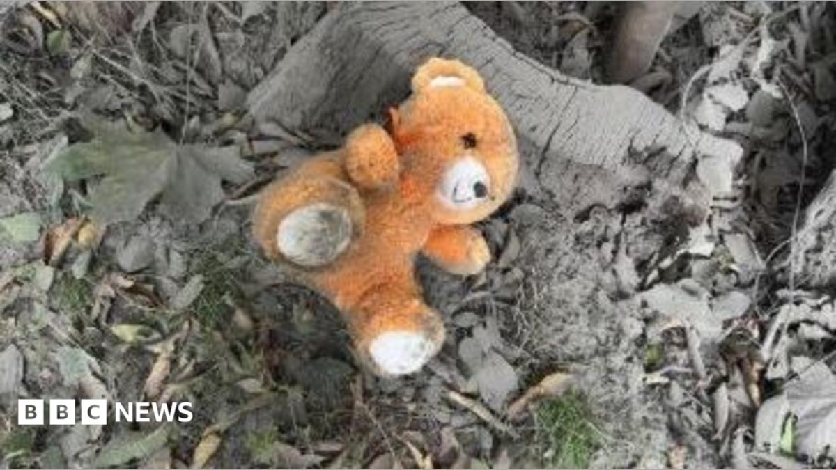 Russian glide bomb attack on Zaporizhzhia kills at least 20 people
