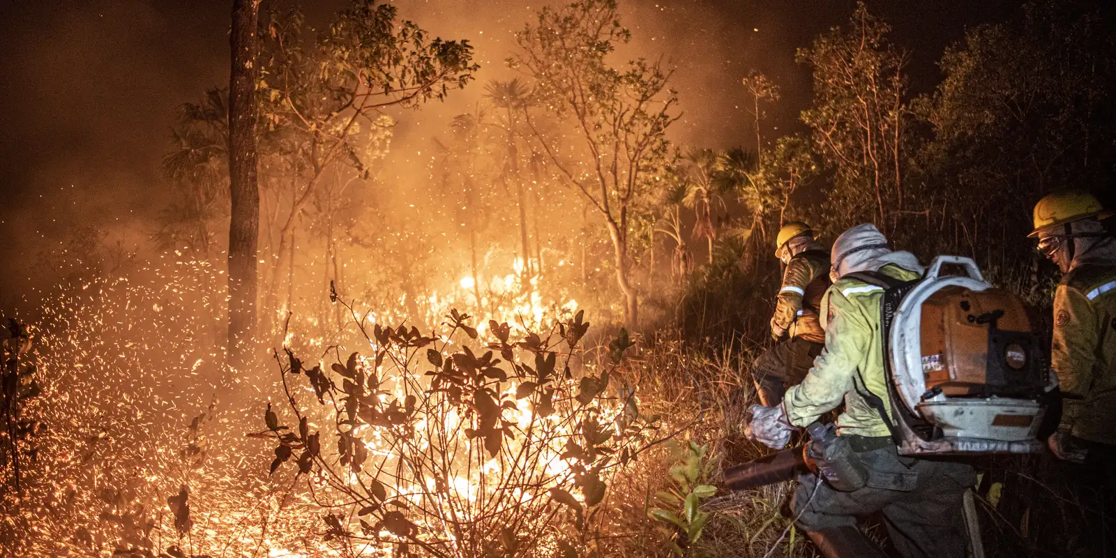 Ibama extingue 229 incêndios no Amazonas e segue no combate ao fogo