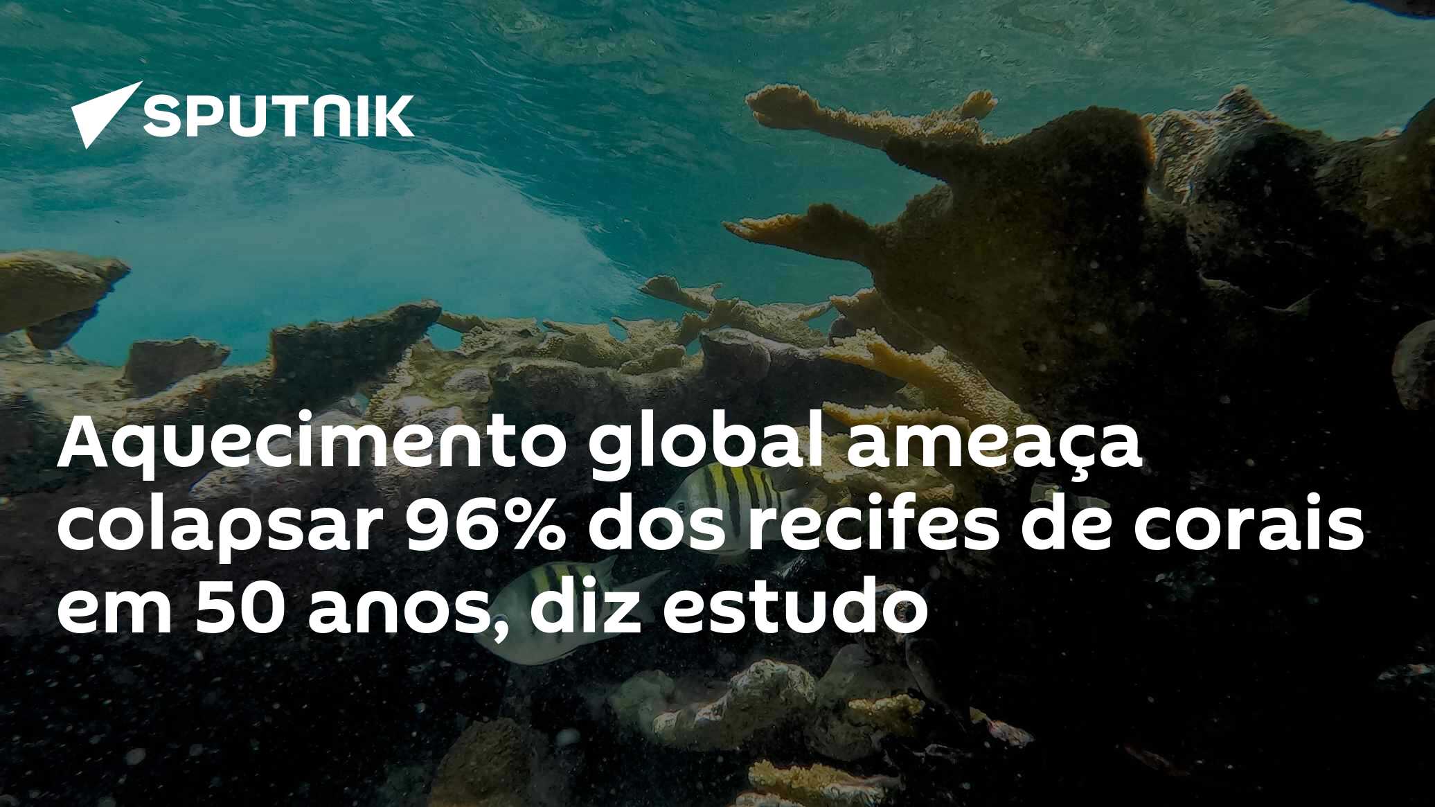 Aquecimento global ameaça colapsar 96% dos recifes de corais em 50 anos, diz estudo