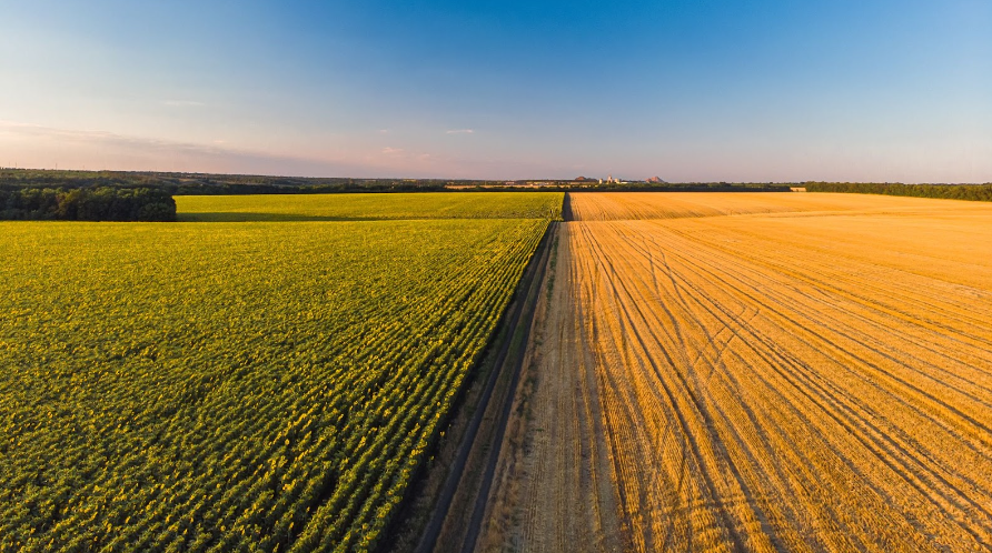 Inadimplência do agro brasileiro atinge 7,3% no primeiro trimestre de 2024, segundo Serasa Experian